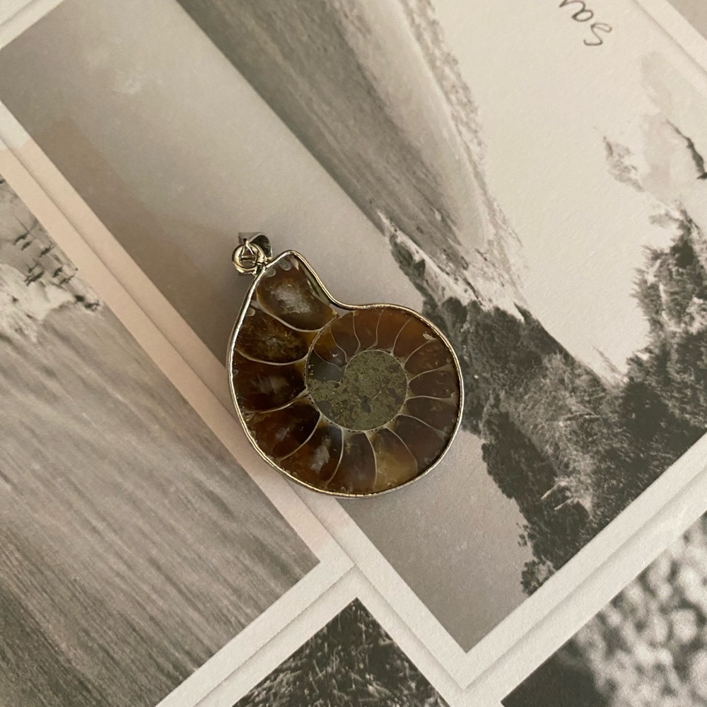 Brown Ammonite Pendant